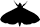 Macrohtrocres